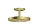 AXOR-HG-AXOR-One-Kopfbrause-280-2jet-mit-Deckenanschluss-Brushed-Brass-48494950 gallery number 1